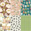 Blossom Lane Flat Fold Bundle